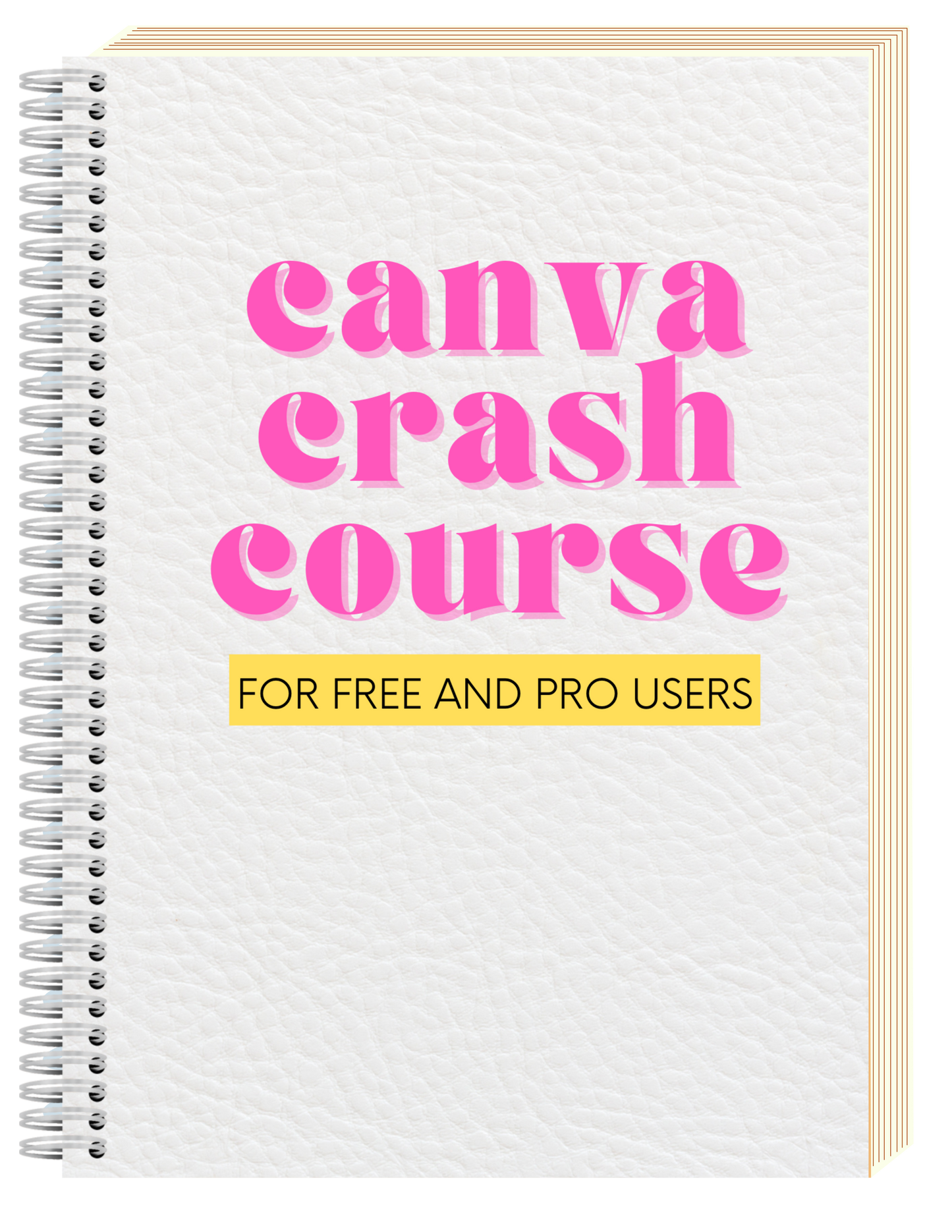 Canva Crash Course PLR