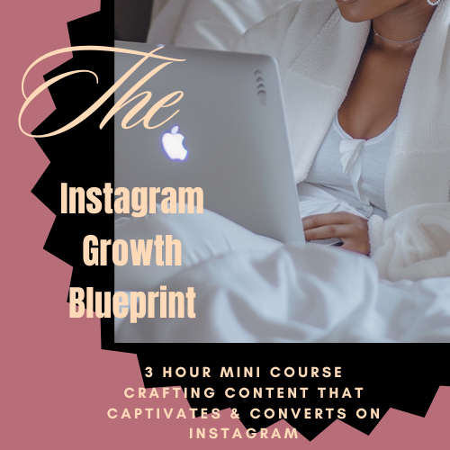 The Instagram Growth Blueprint Course w/ PLR & MRR